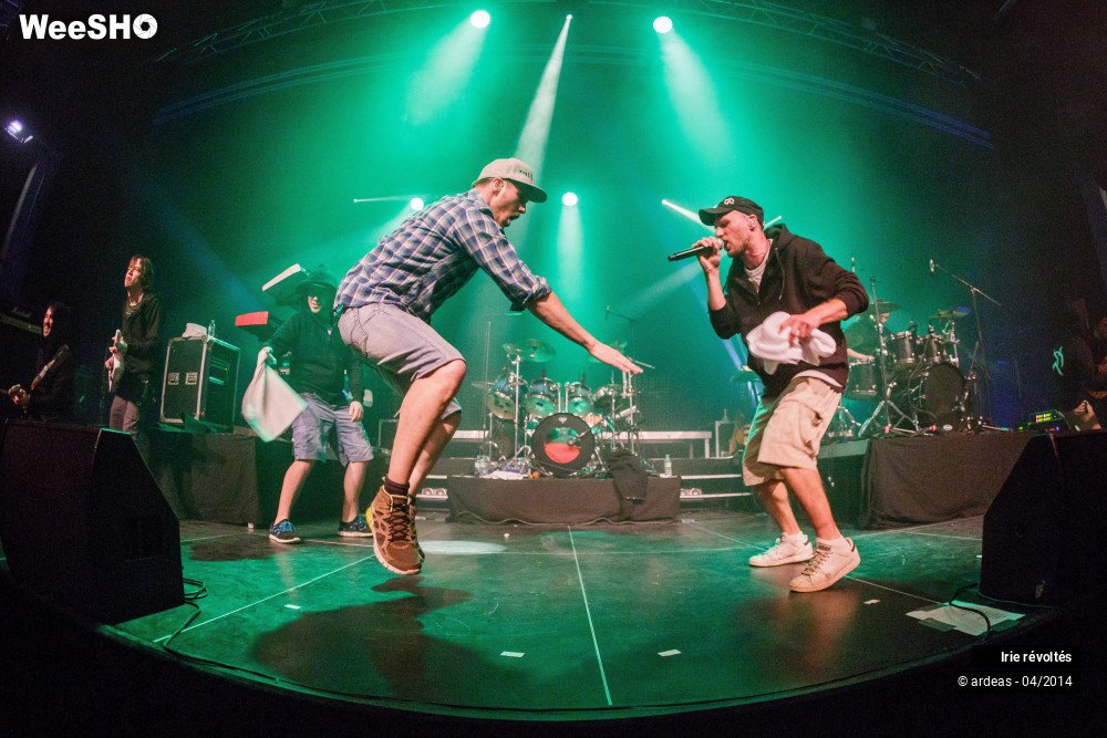 13/39 photos du spectacle Irie révoltés