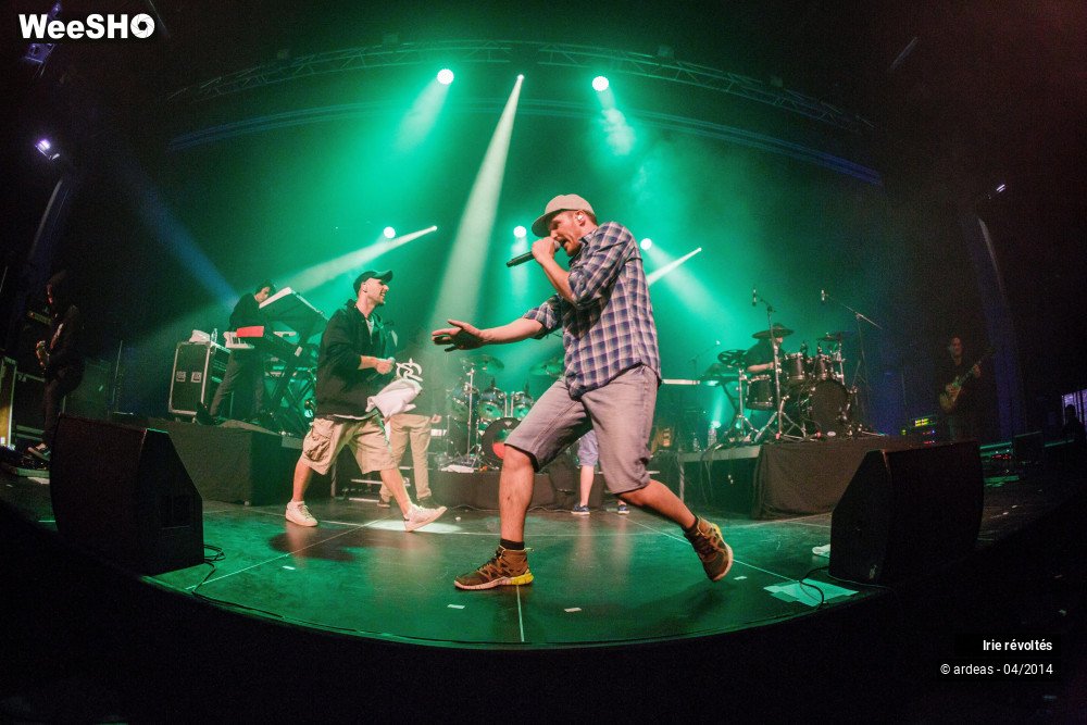 14/39 photos du spectacle Irie révoltés