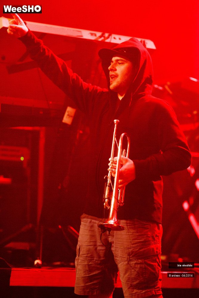 15/39 photos du spectacle Irie révoltés