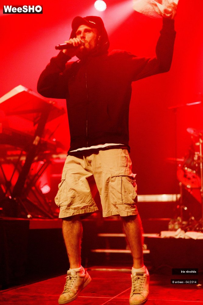 16/39 photos du spectacle Irie révoltés