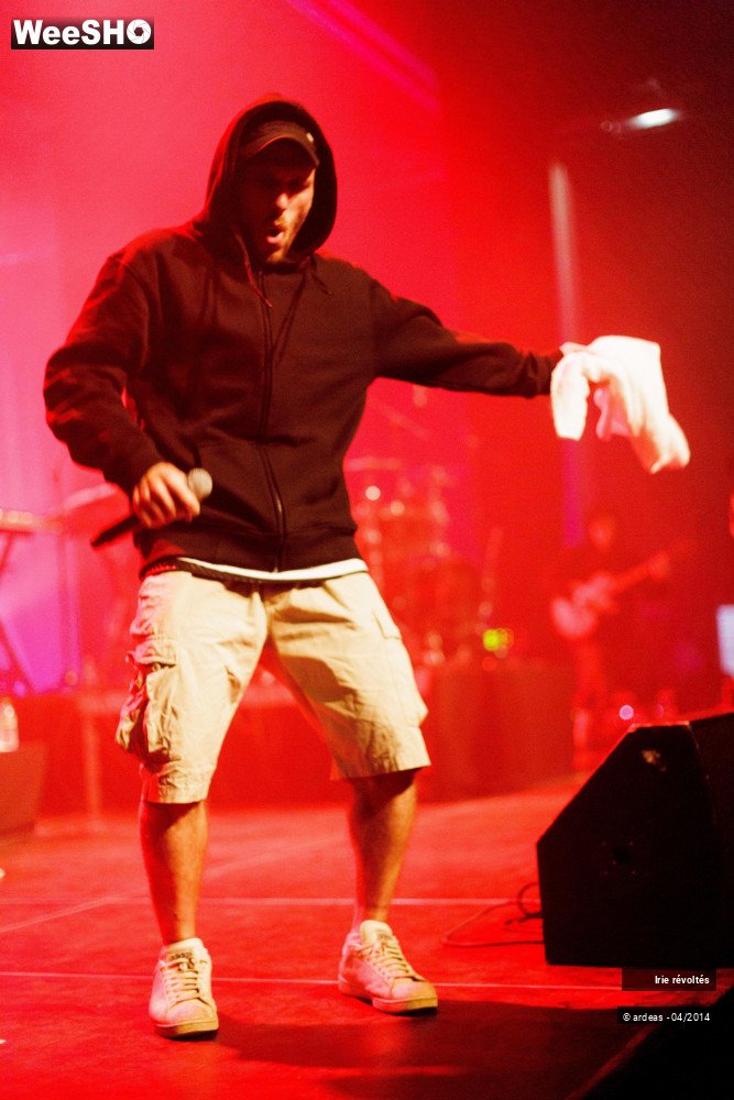 17/39 photos du spectacle Irie révoltés