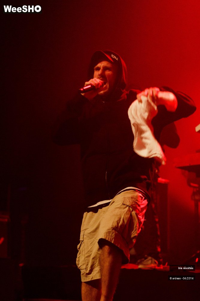 25/39 photos du spectacle Irie révoltés