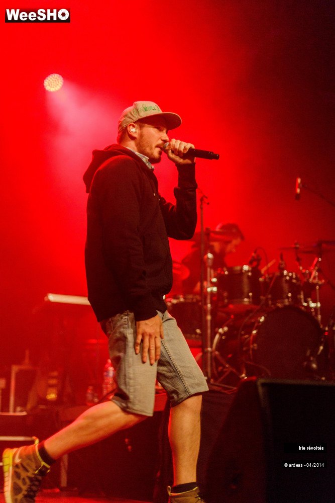 26/39 photos du spectacle Irie révoltés