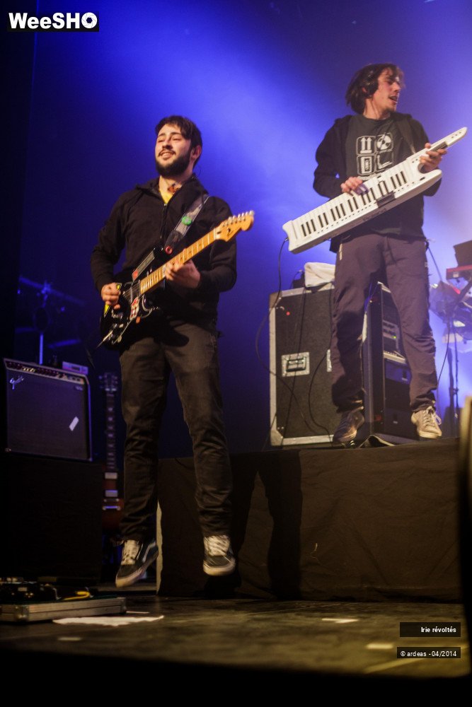 27/39 photos du spectacle Irie révoltés