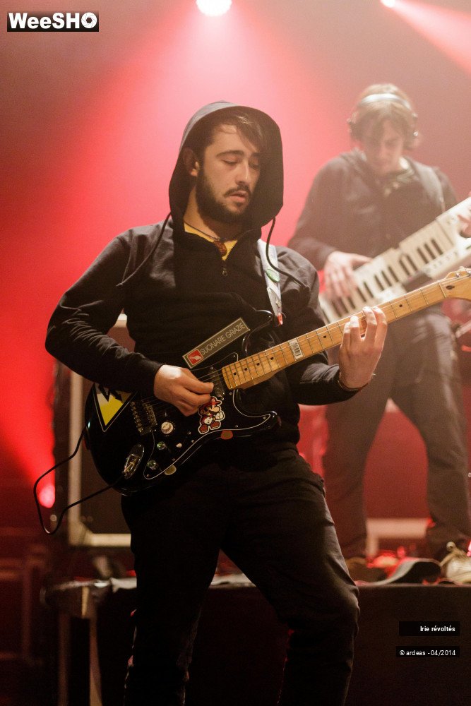 31/39 photos du spectacle Irie révoltés