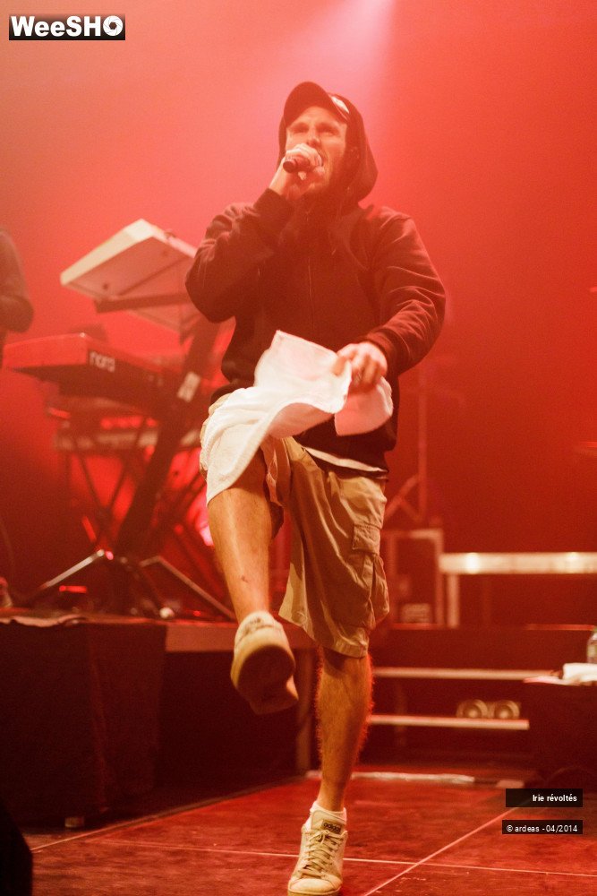 32/39 photos du spectacle Irie révoltés