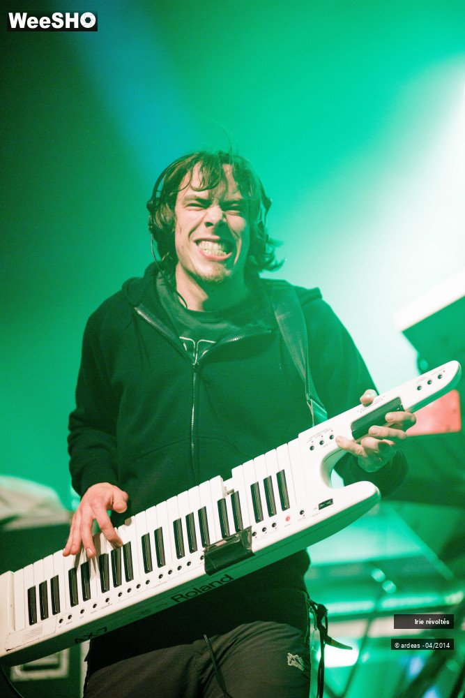 34/39 photos du spectacle Irie révoltés