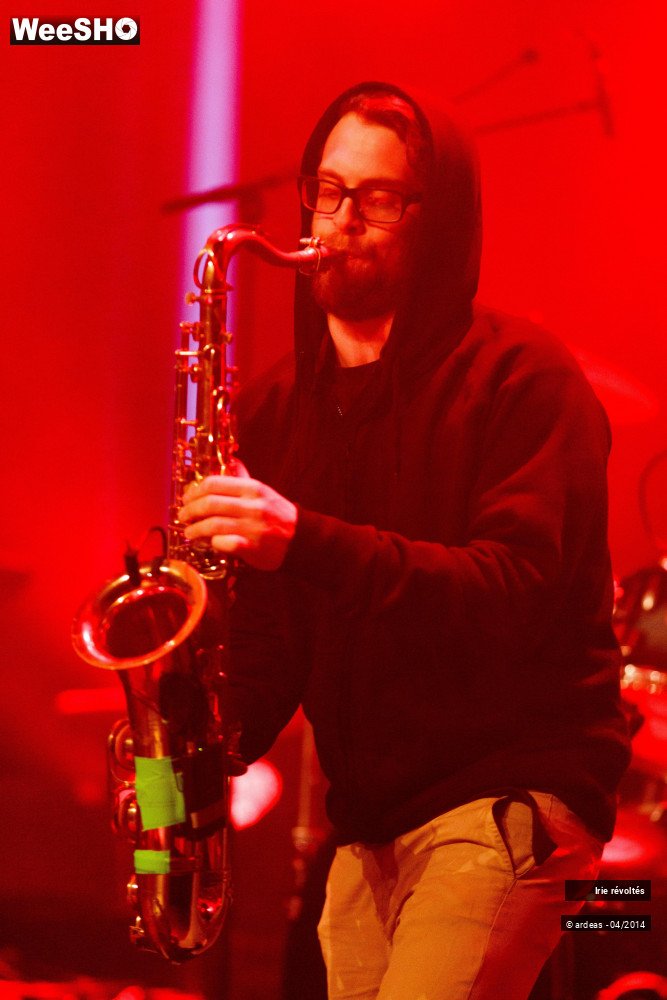 35/39 photos du spectacle Irie révoltés