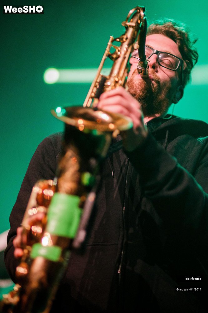 36/39 photos du spectacle Irie révoltés