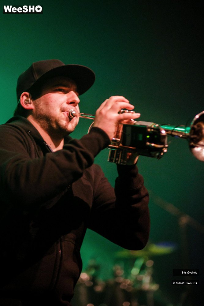 38/39 photos du spectacle Irie révoltés