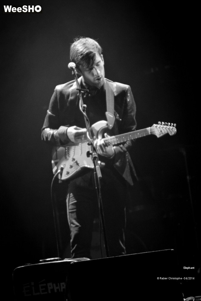 11/26 photos du spectacle Elephant