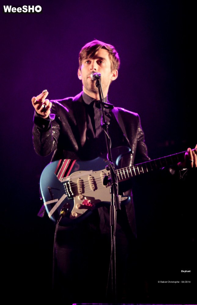 16/26 photos du spectacle Elephant