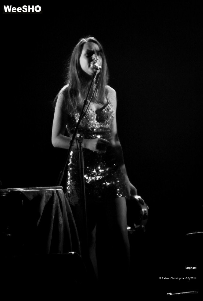 18/26 photos du spectacle Elephant