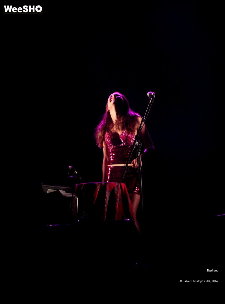 21/26 photos du spectacle Elephant