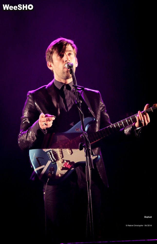 26/26 photos du spectacle Elephant