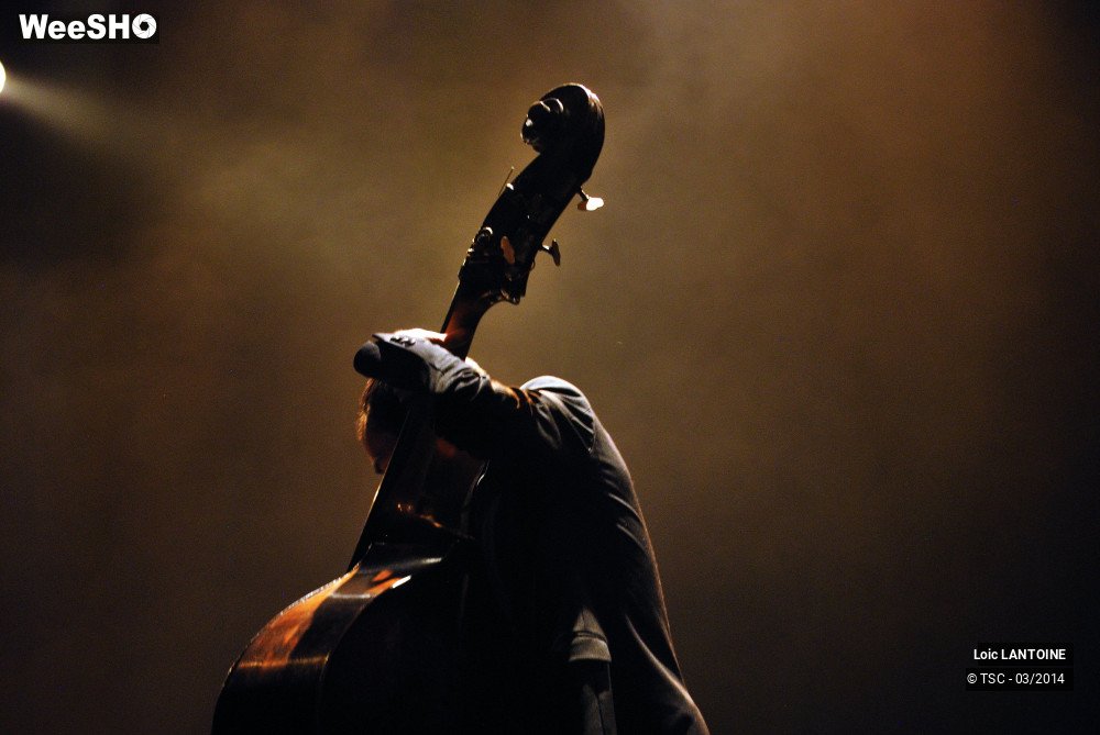 9/32 photos du spectacle Loïc Lantoine