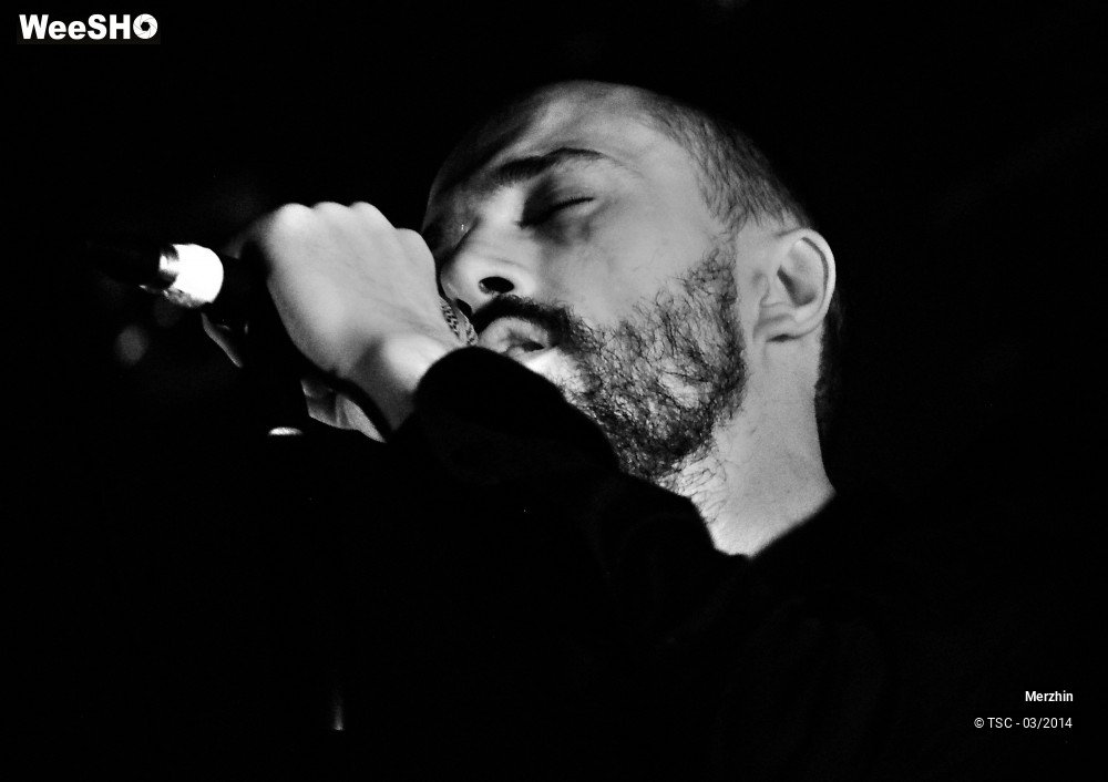 44/44 photos du spectacle Merzhin