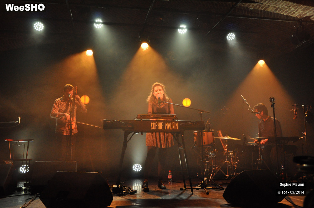 19/51 photos du spectacle Sophie Maurin