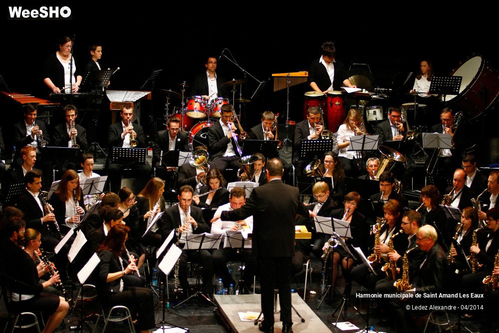 8/36 photos du spectacle Harmonie Municipale de St Amand Les Eaux