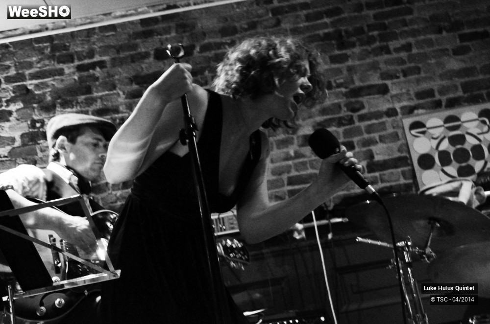 1/25 photos du spectacle Luke Hulus Quintet