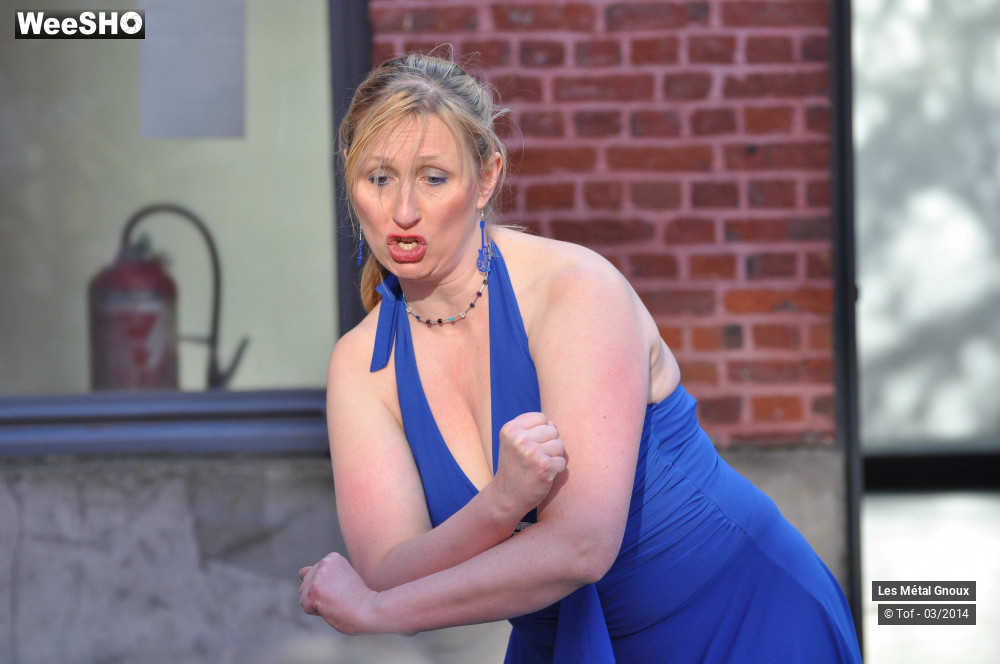 26/63 photos du spectacle Les Métal Gnoux