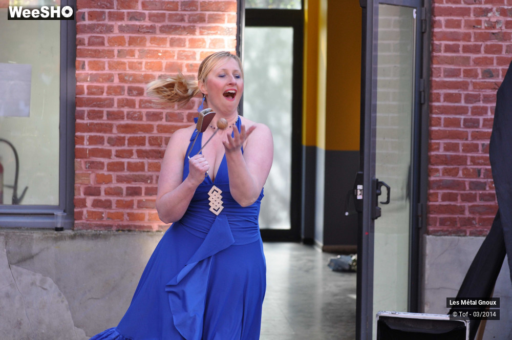 45/63 photos du spectacle Les Métal Gnoux
