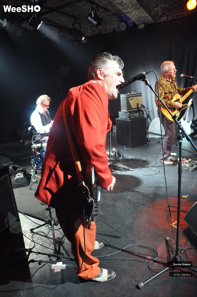 18/63 photos du spectacle Hot Chickens