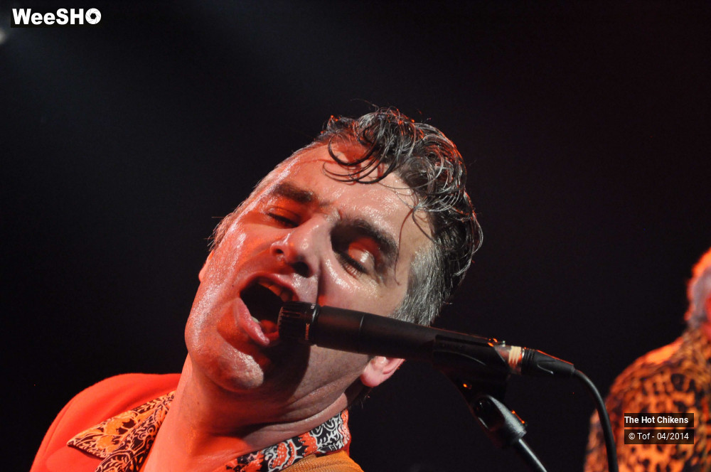 41/63 photos du spectacle Hot Chickens