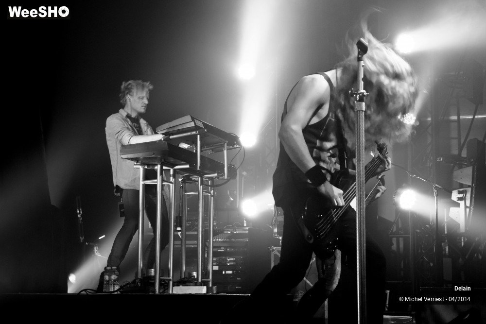 4/35 photos du spectacle Delain