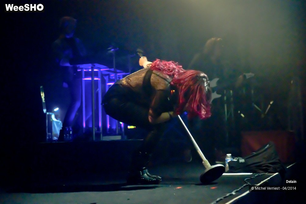 9/35 photos du spectacle Delain
