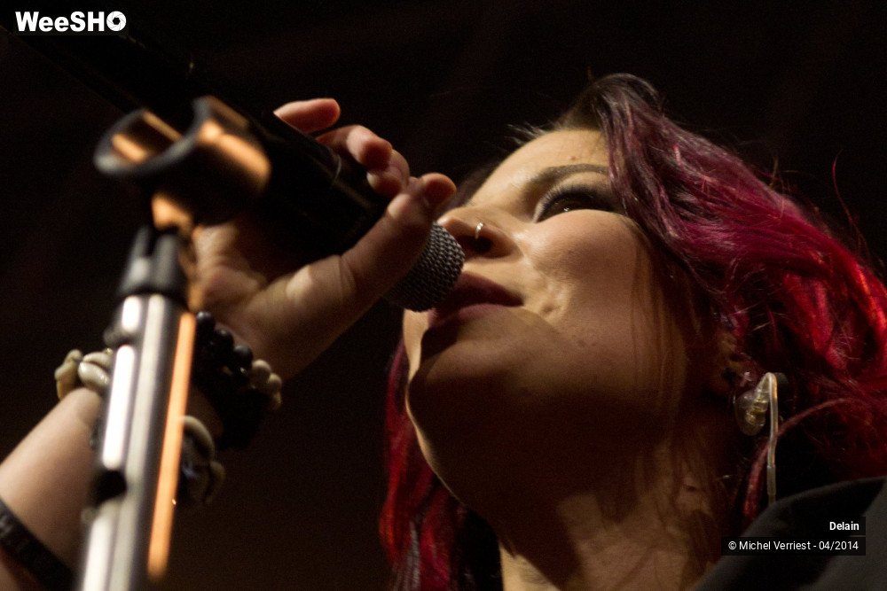 11/35 photos du spectacle Delain