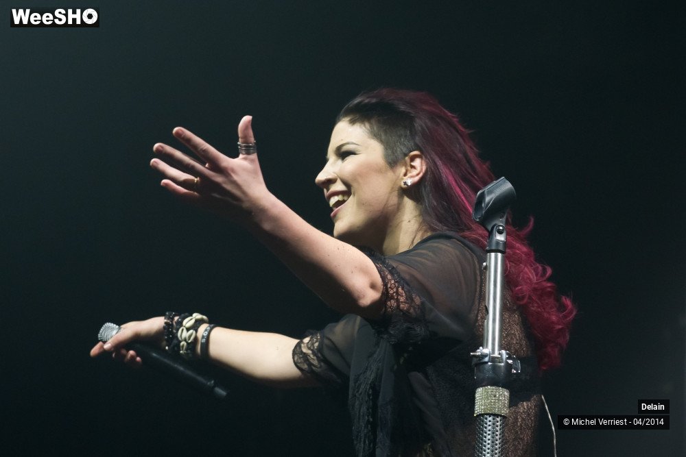 12/35 photos du spectacle Delain
