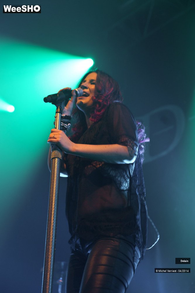 23/35 photos du spectacle Delain