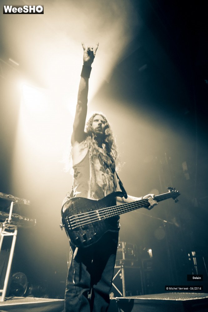 24/35 photos du spectacle Delain