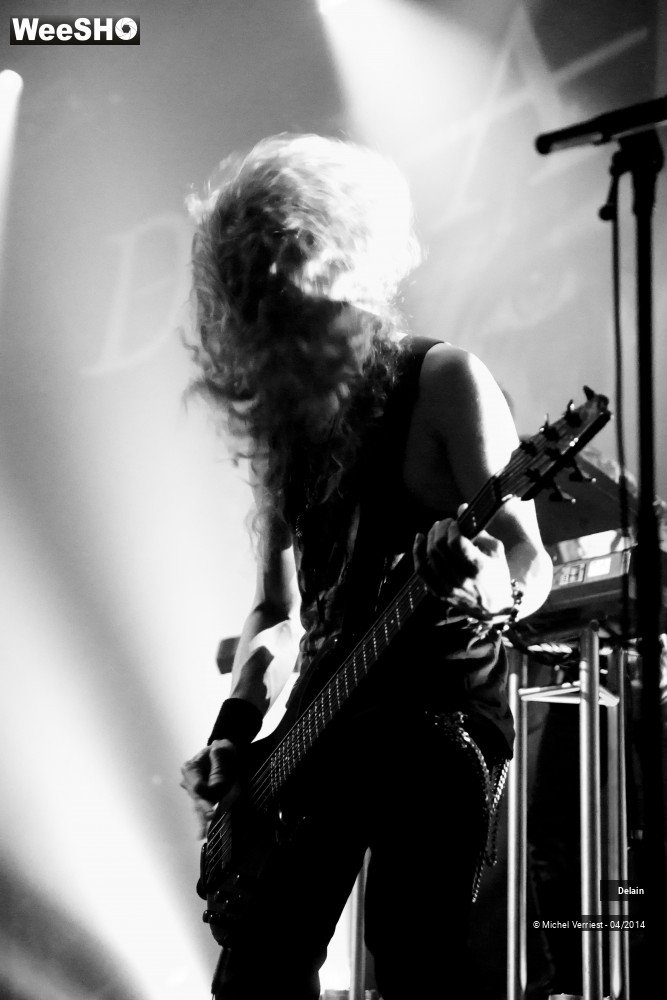 25/35 photos du spectacle Delain