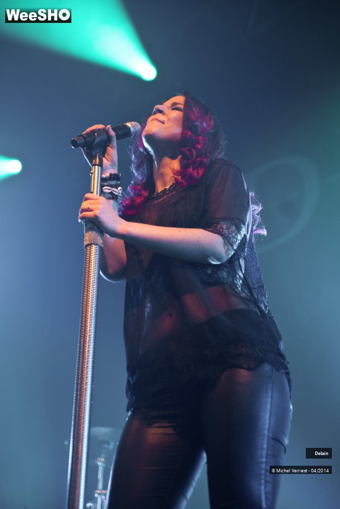 26/35 photos du spectacle Delain