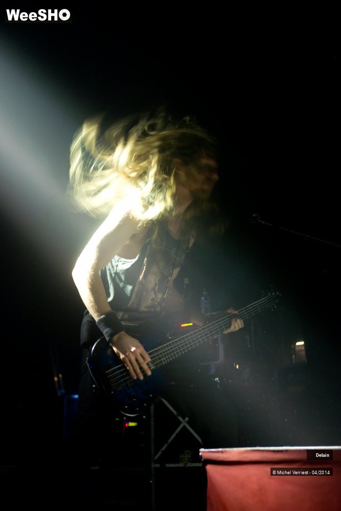 29/35 photos du spectacle Delain