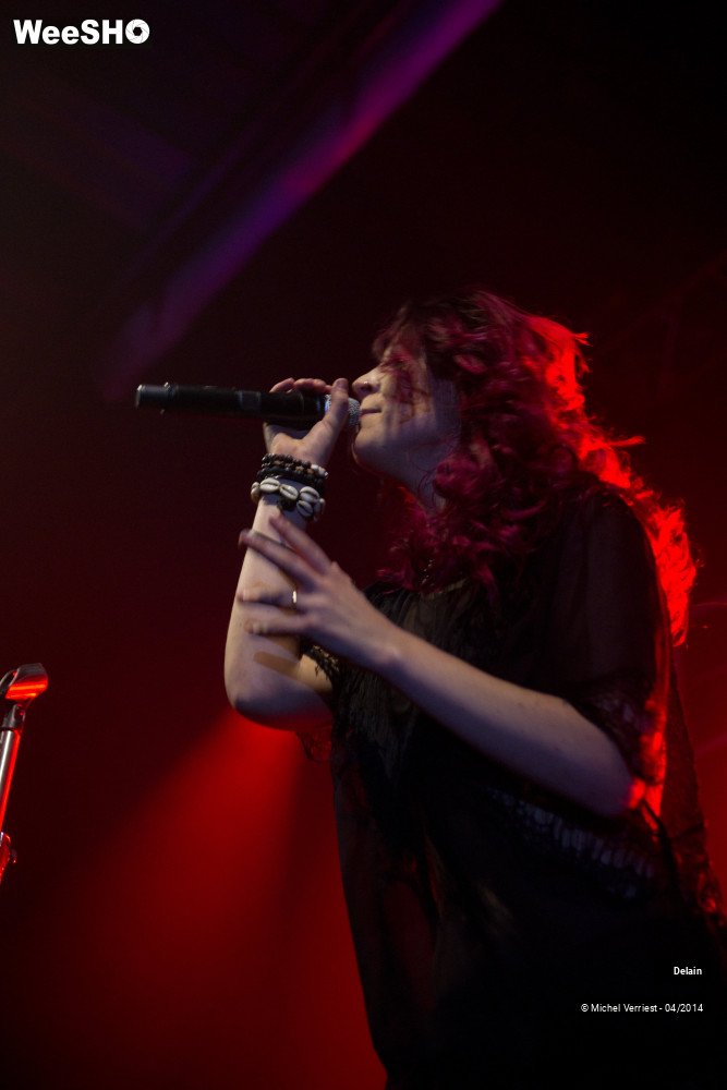 30/35 photos du spectacle Delain