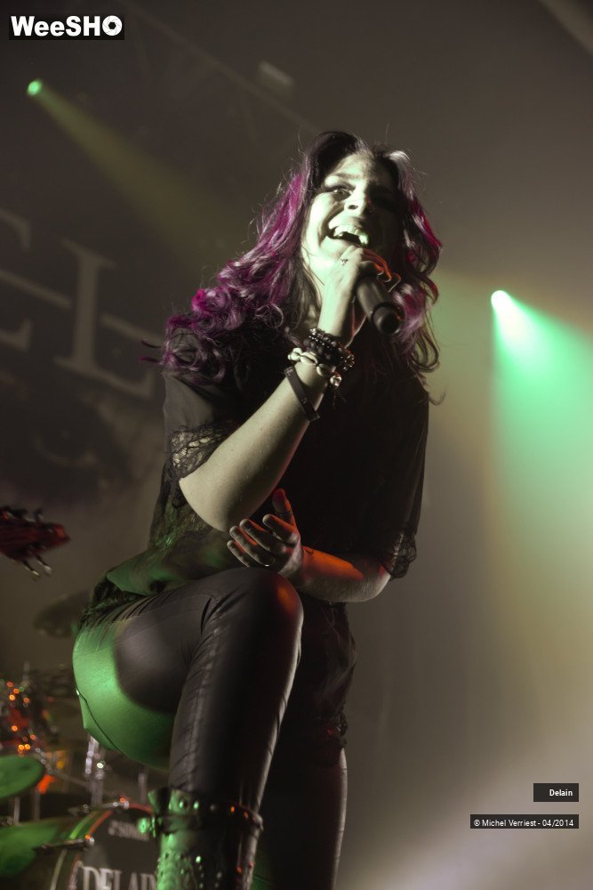 31/35 photos du spectacle Delain