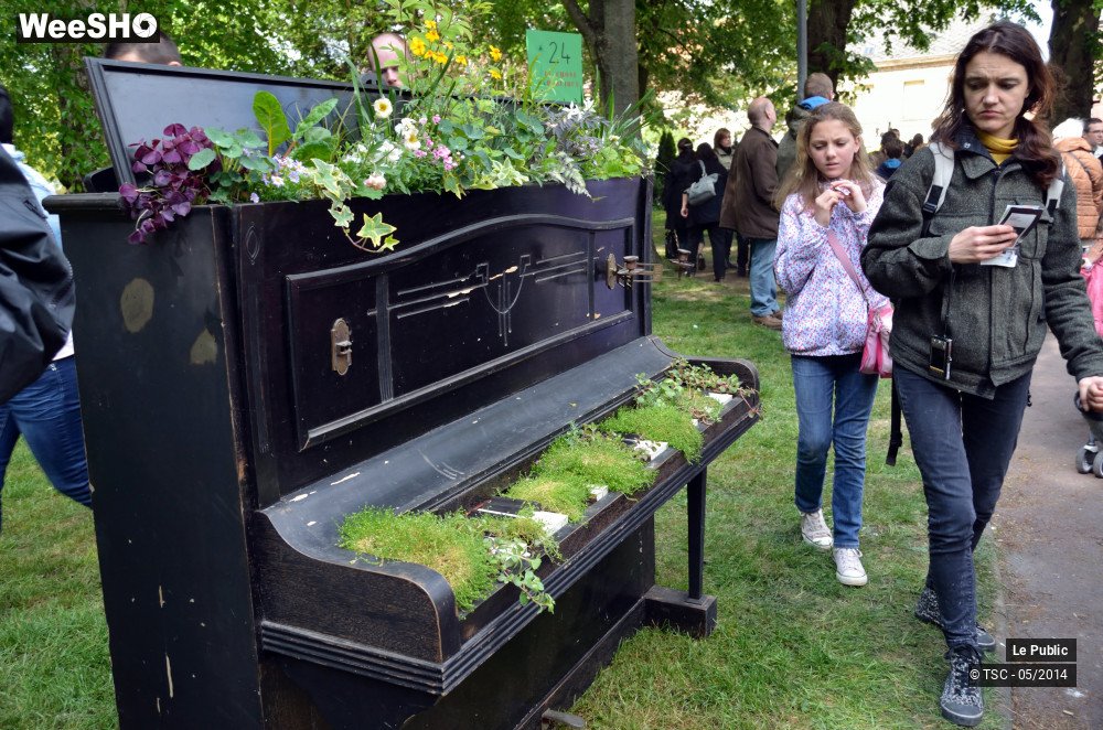 14/20 photos du spectacle Les Turbulentes 2014 Ambiance