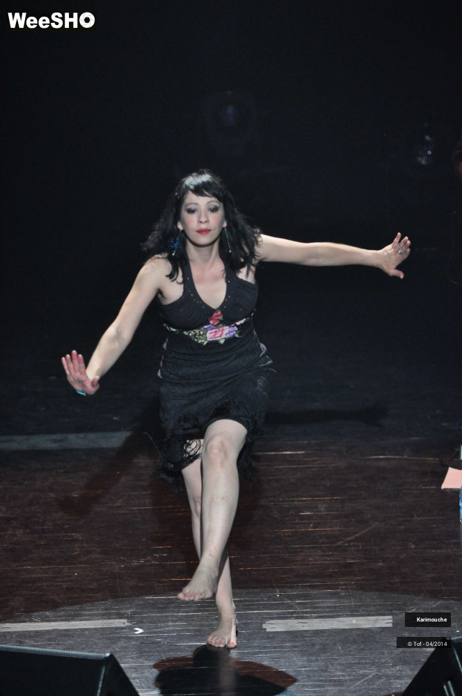 34/65 photos du spectacle Karimouche