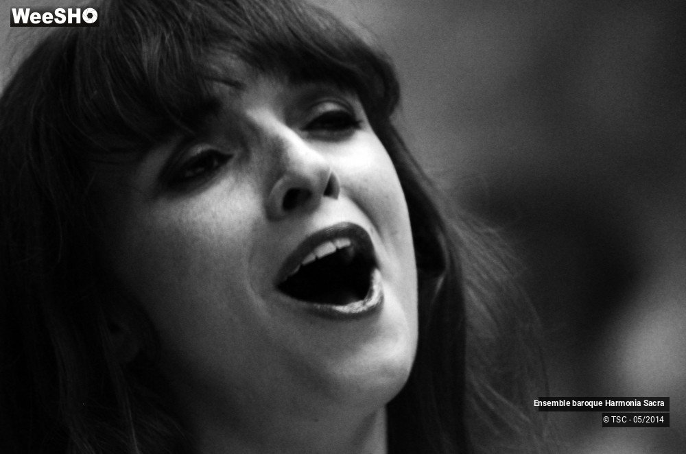 18/27 photos du spectacle Voix Sacrées et Sacrées Voix 