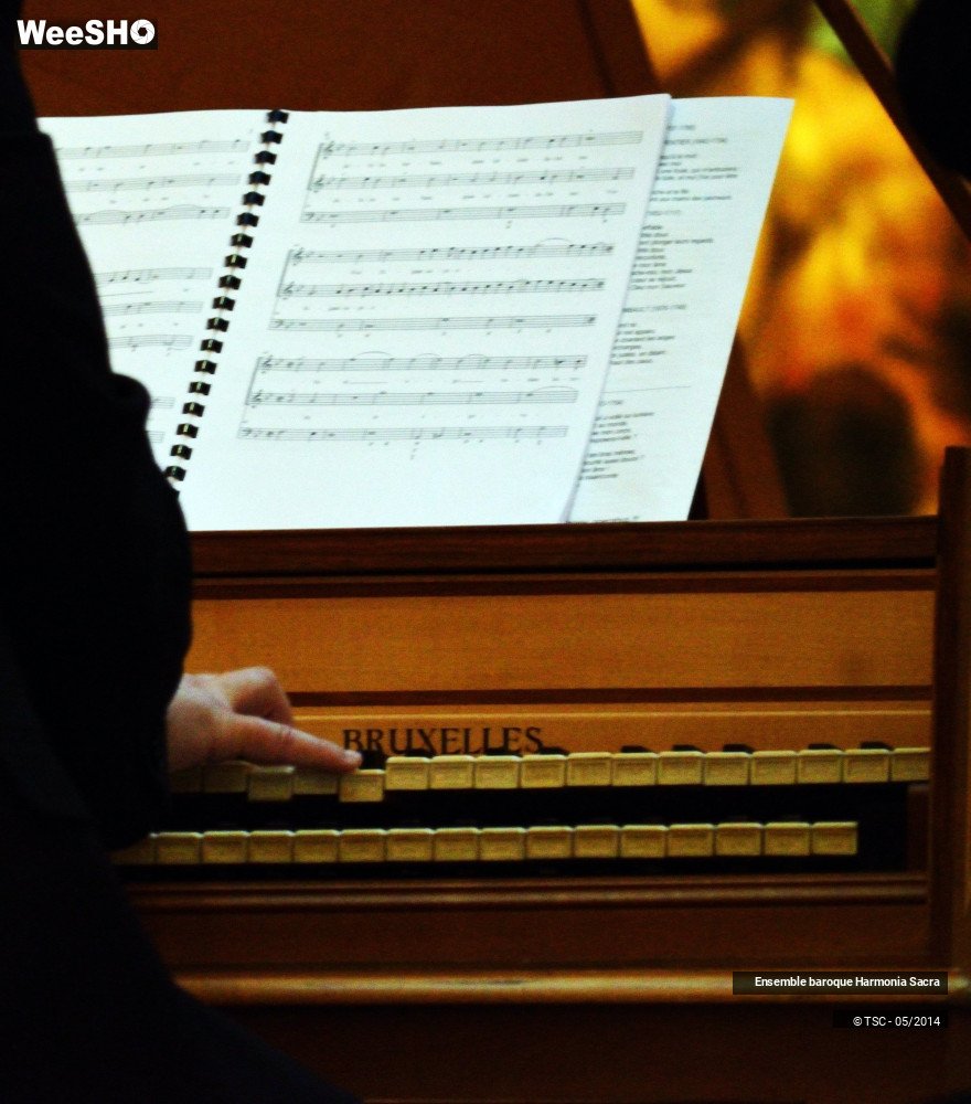 25/27 photos du spectacle Voix Sacrées et Sacrées Voix 