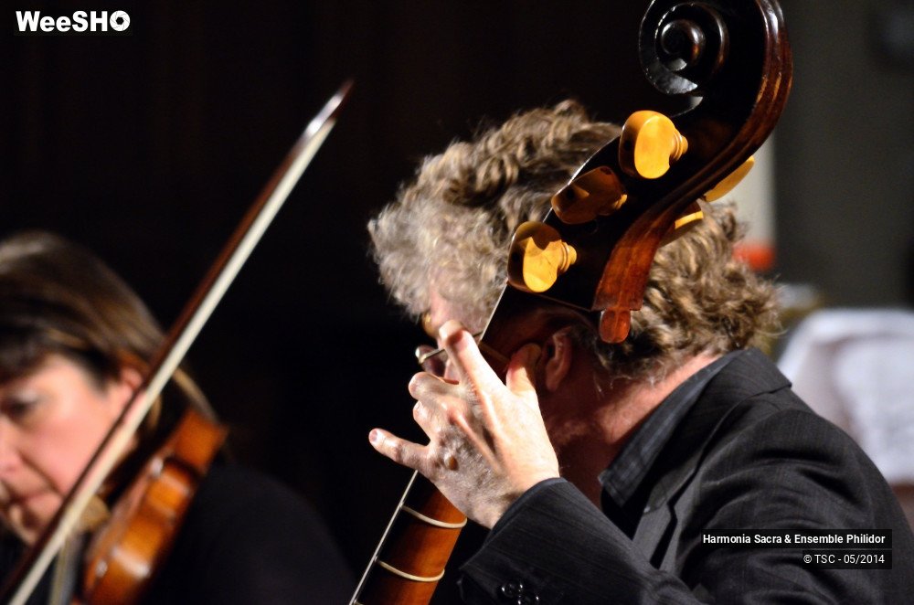 1/25 photos du spectacle Le Hainaut et l'Europe musicale