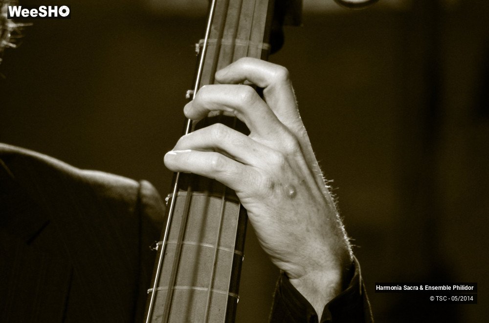 2/25 photos du spectacle Le Hainaut et l'Europe musicale