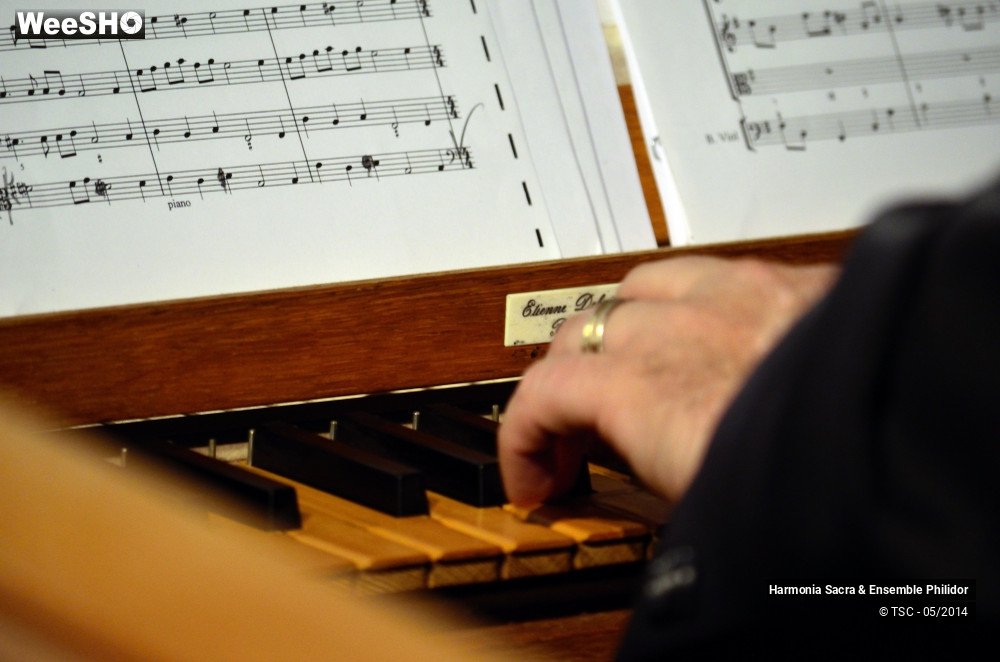 6/25 photos du spectacle Le Hainaut et l'Europe musicale