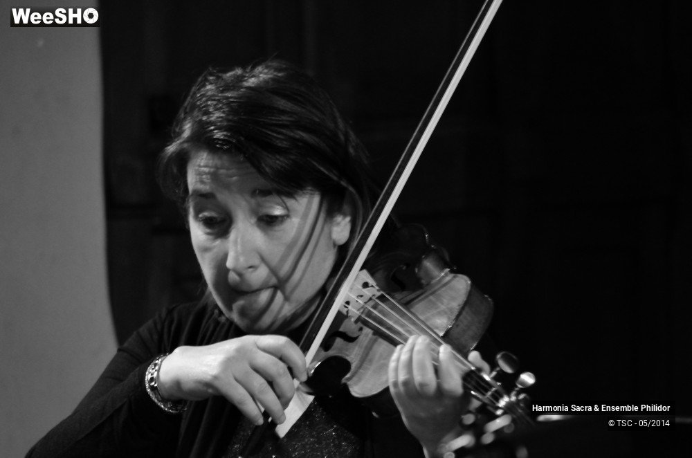 15/25 photos du spectacle Le Hainaut et l'Europe musicale