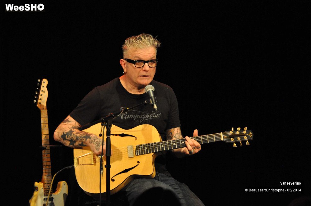 37/47 photos du spectacle Sanseverino