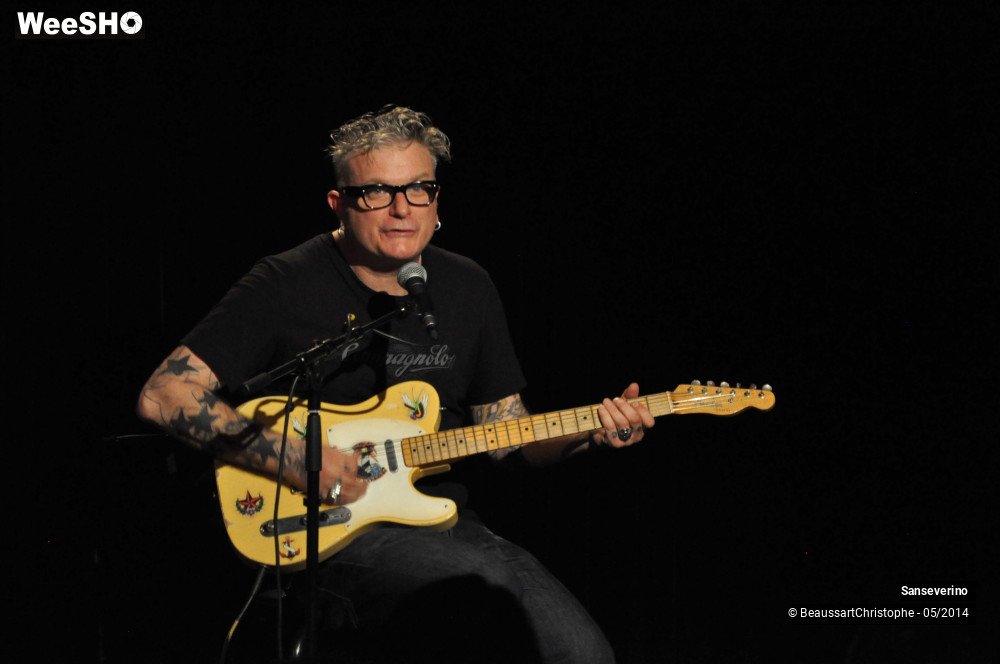 39/47 photos du spectacle Sanseverino