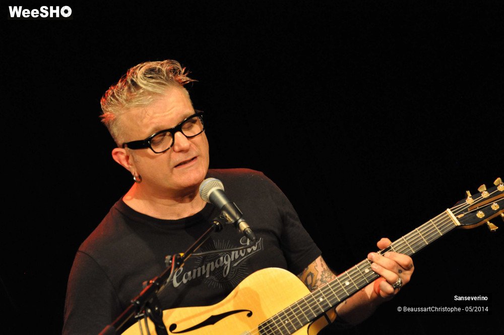 40/47 photos du spectacle Sanseverino